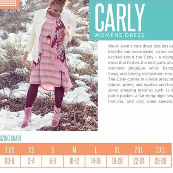 LuLaRoe Carly Super Soft Cotton gray/periwinkle S - Picture 5 of 5